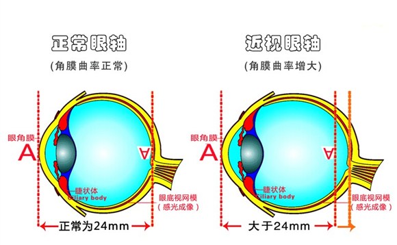 ABUIABACGAAg4oe3sQUooNfvpQUwxAQ45gI