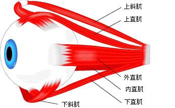 ABUIABACGAAg5Ye3sQUo4JPjigQw2gI41QE