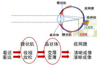 ABUIABACGAAgysufswUouI_9ywQwyAI43AE